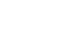 BorgPlein